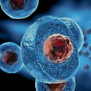 Regenerative Orthobiologics